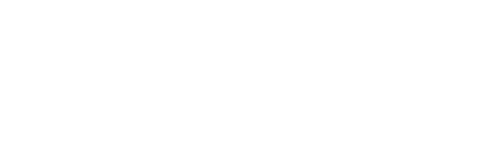 The Fremont Street Experience logo